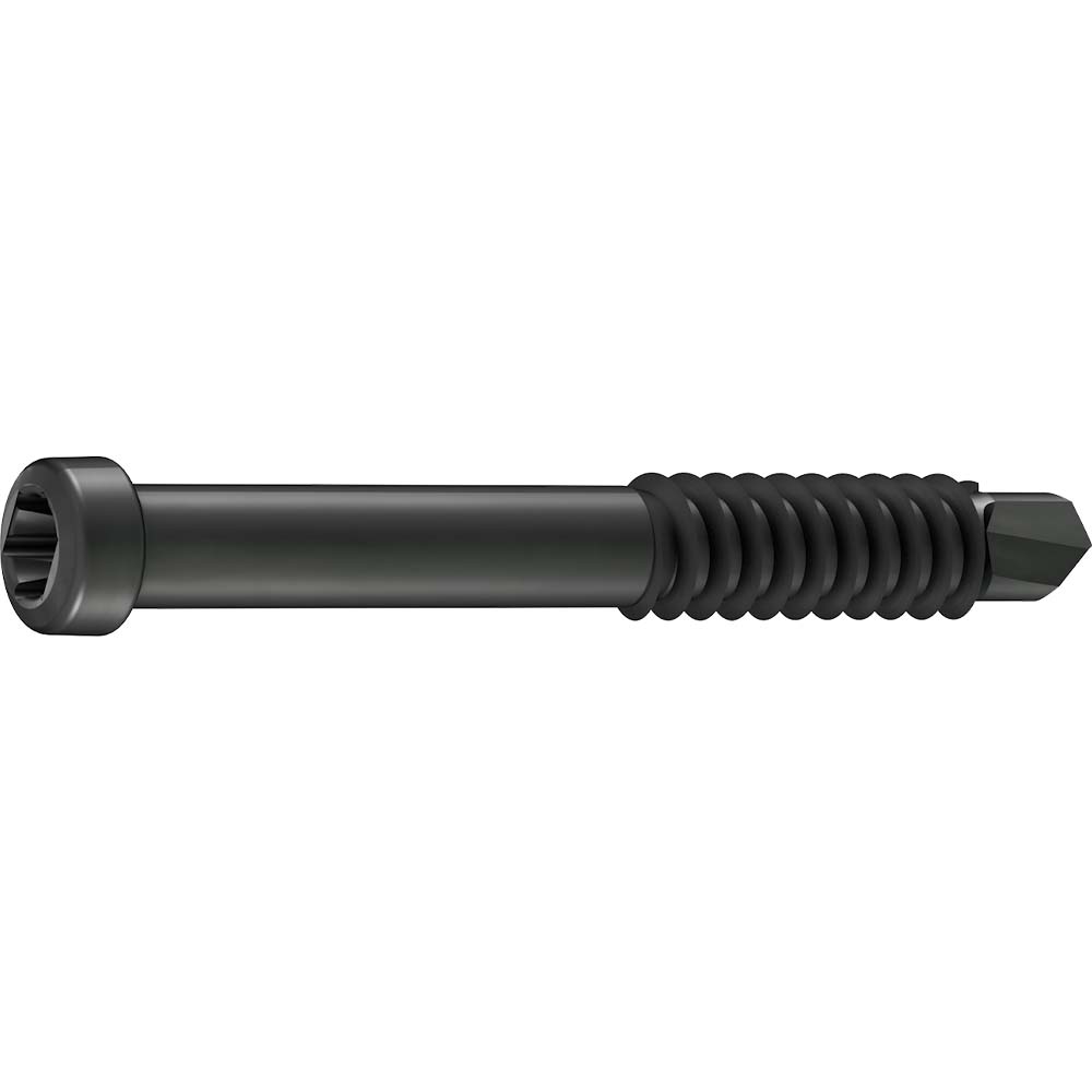 Gs Bohrschraube Zylinderkopf 38Mm Schwarz Gs Bohrschraube Zylinderkopf 38Mm Schwarz