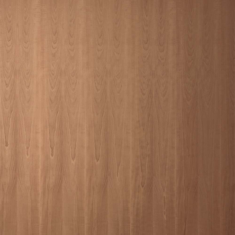 Edelspan Elsbeere Edelspan Elsbeere