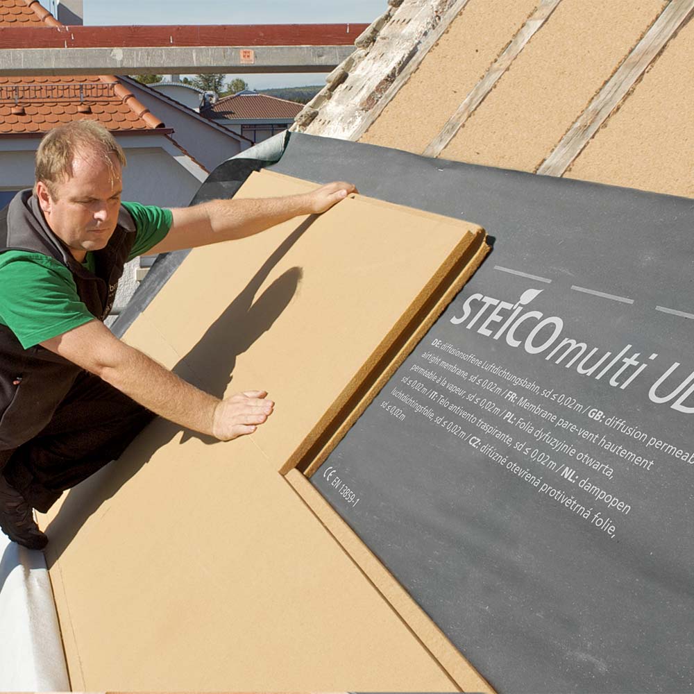 Steico Special Dry60