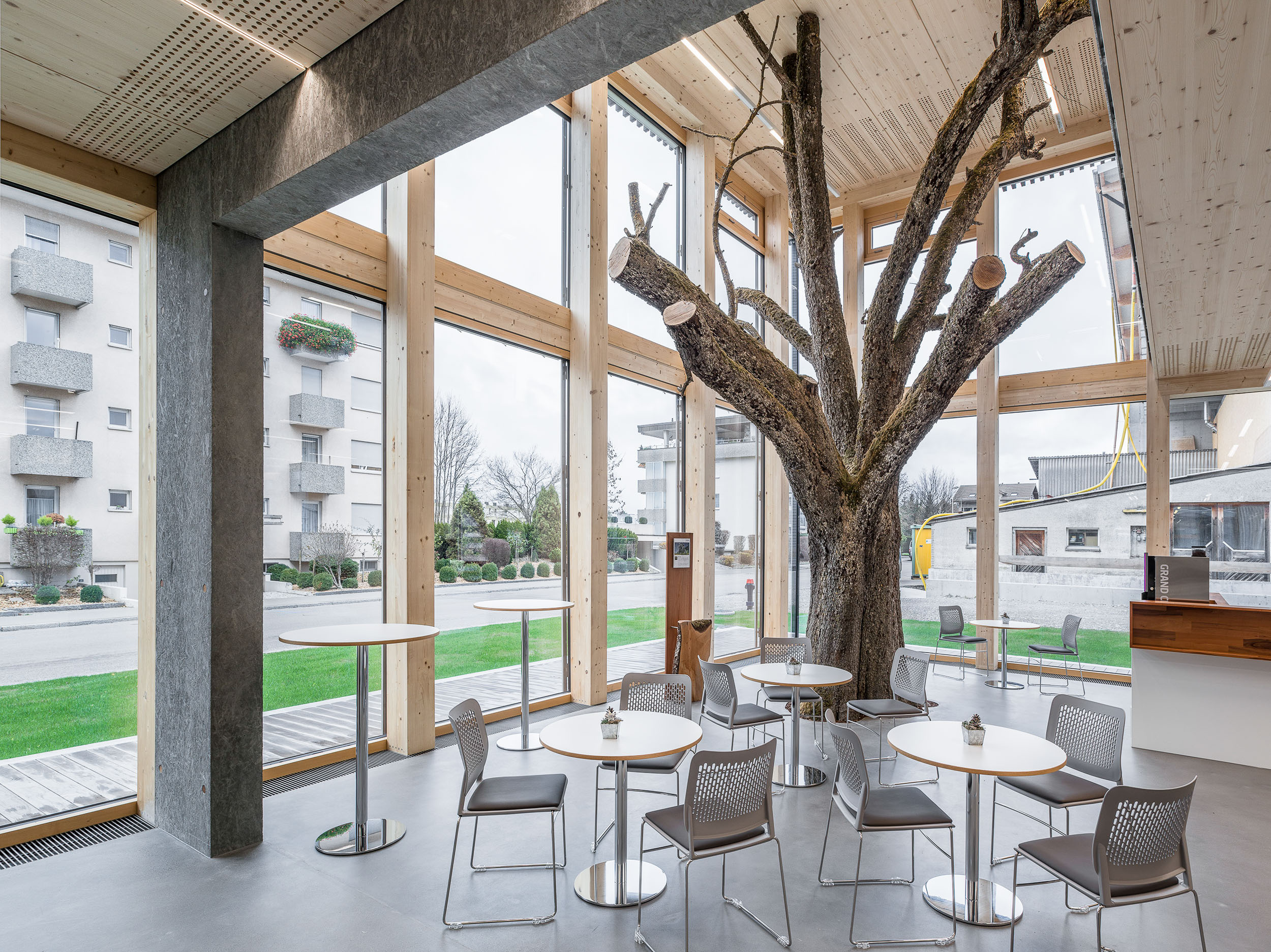 Braun Cafeteria Birnenbaum Cafeteria unter einem Birnenbaum