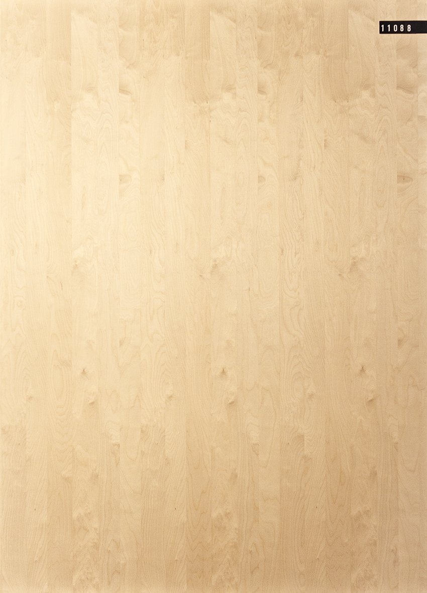 Edelspan | Span P2 | furniert Selection | Birke | A+/A | geschliffen Platte Nr. 11088 Edelspan | Span P2 | furniert Selection | Birke | A+/A | geschliffen Platte Nr. 11088
