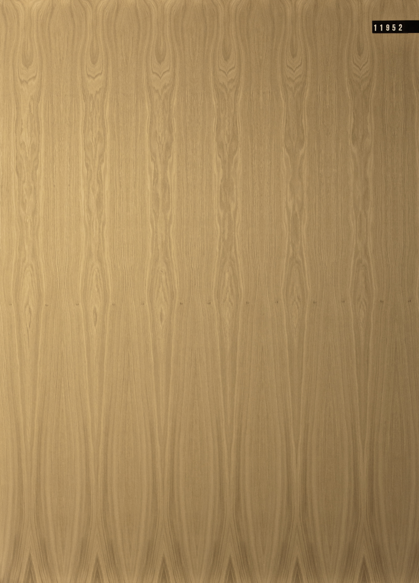 Edelspan | Span P2 | furniert Selection | Eiche euro | A+/A | Aufbau | geschliffen Platte Nr. 11952