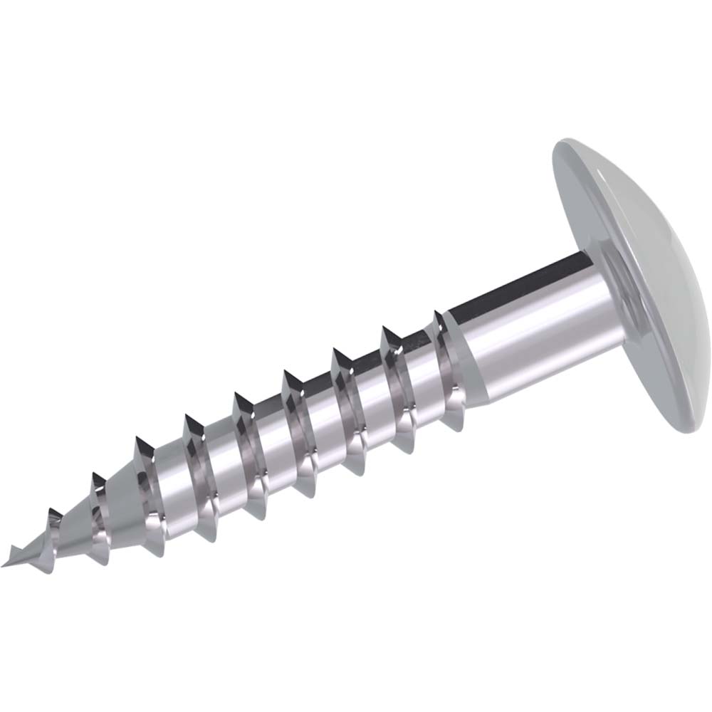 Kronoart Fassadenschraube Lackiert 0191 Kronoart Fassadenschraube Lackiert 0191