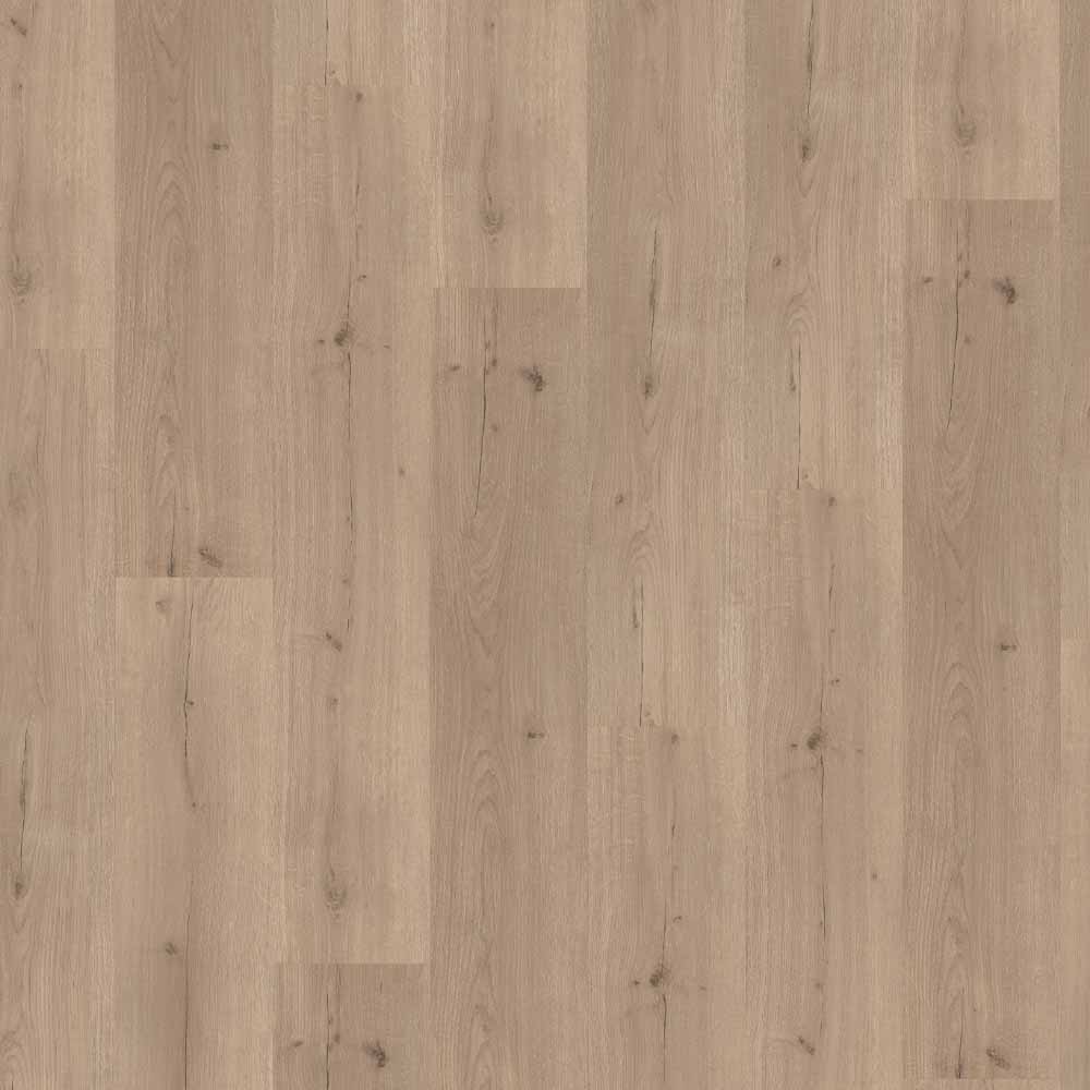 Parador Vinylbasic30 Eicheinfinity Grau