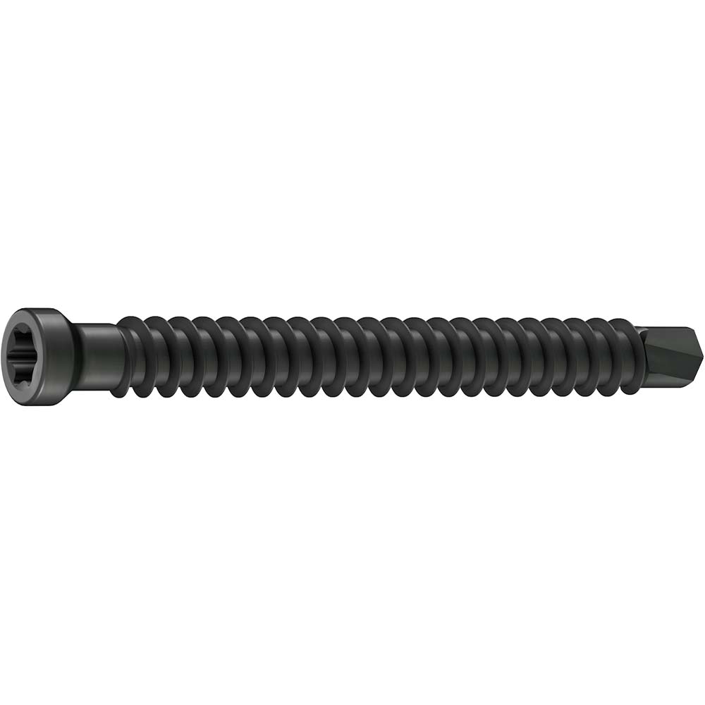 Gs Bohrschraube Zylinderkopf 39Mm Schwarz