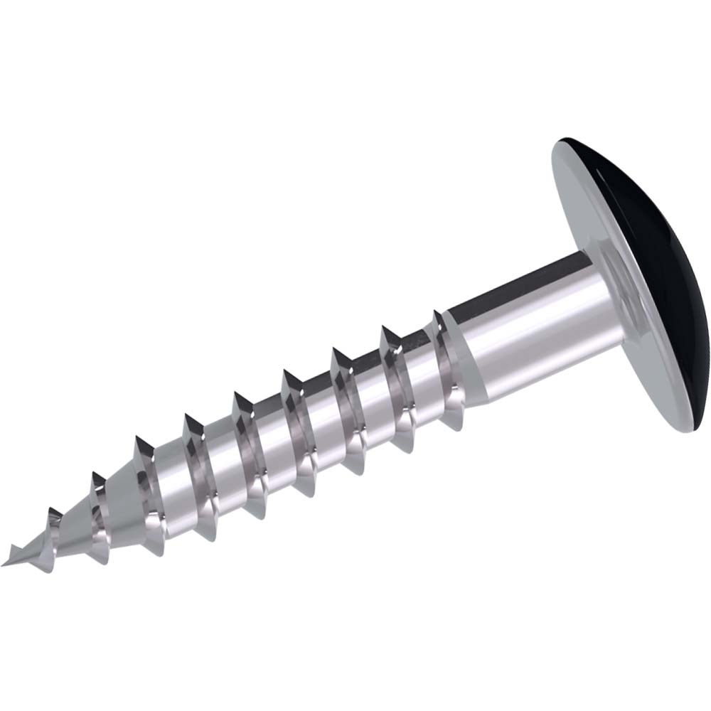 Kronoart Fassadenschraube Lackiert 0190 Kronoart Fassadenschraube Lackiert 0190