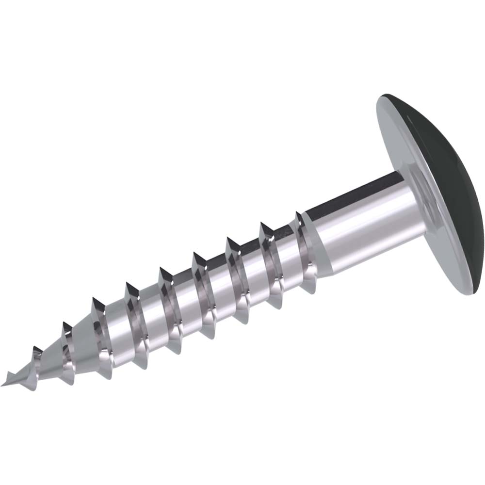 Kronoart Fassadenschraube Lackiert 0164 Kronoart Fassadenschraube Lackiert 0164