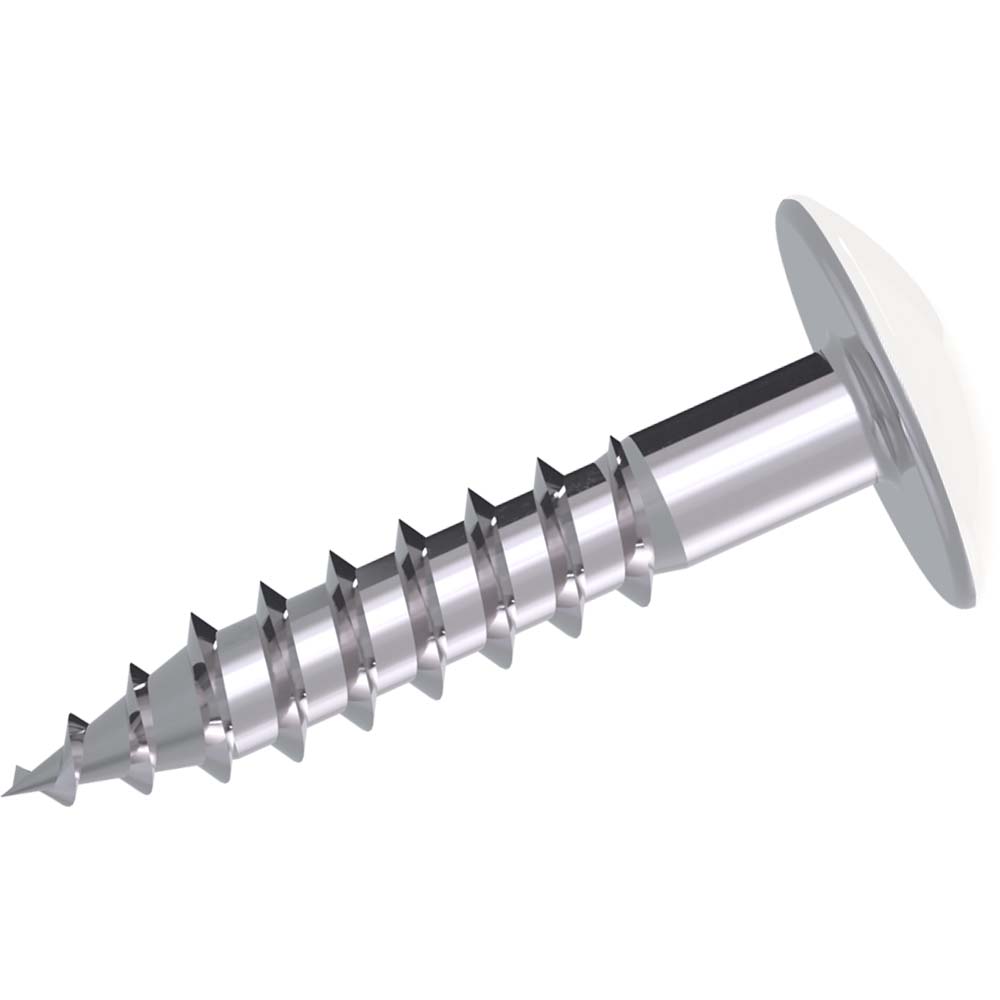 Kronoart Fassadenschraube Lackiert 0101 Kronoart Fassadenschraube Lackiert 0101