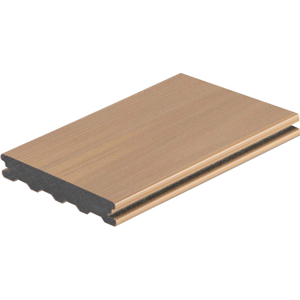 Forexia Atmosphere Eichehell Forexia Atmosphere Eichehell