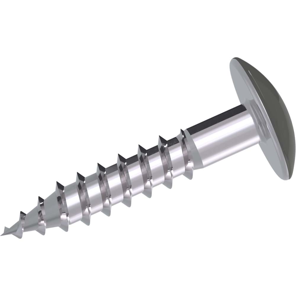 Kronoart Fassadenschraube Lackiert 0171 Kronoart Fassadenschraube Lackiert 0171