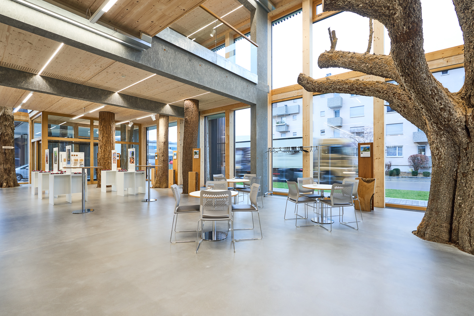 Empfang Ausstellung Holz erleben Empfangsbereich mit Baum in Austellung